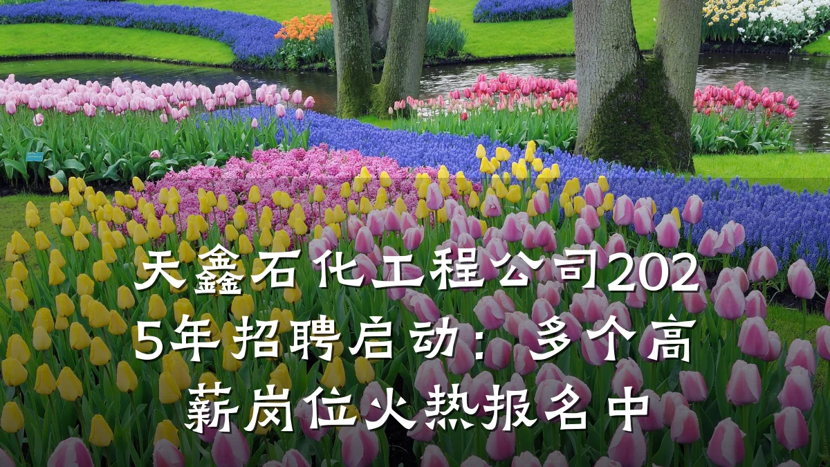 天鑫石化工程公司2025年招聘启动:多个高薪岗位火热报名中