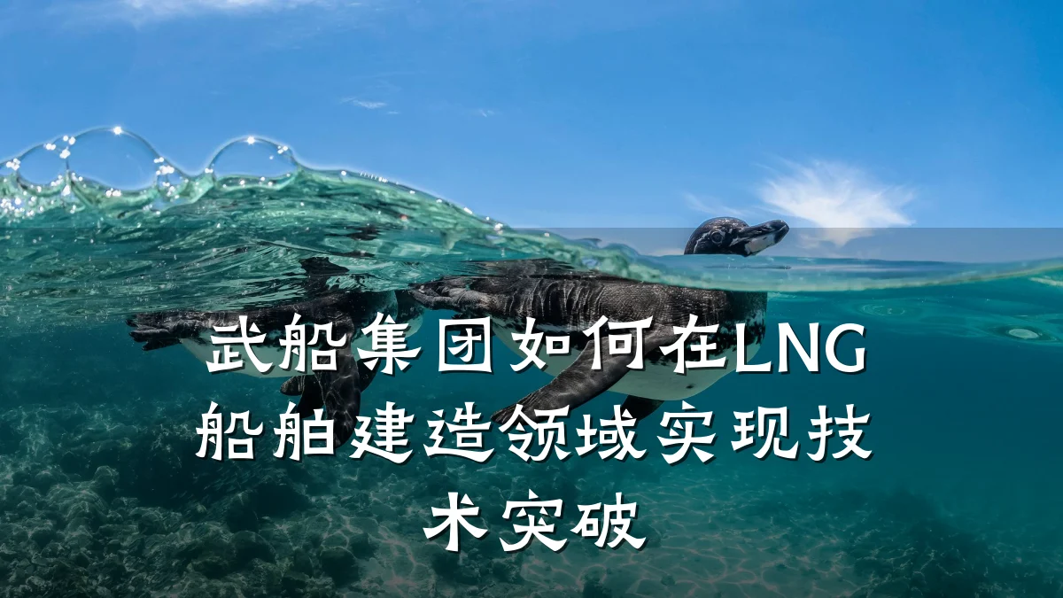 武船集团如何在LNG船舶建造领域实现技术突破