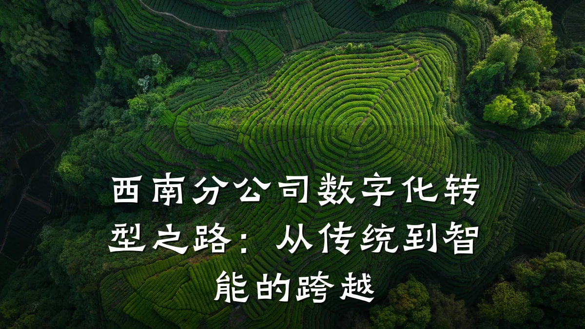 西南分公司数字化转型之路:从传统到智能的跨越