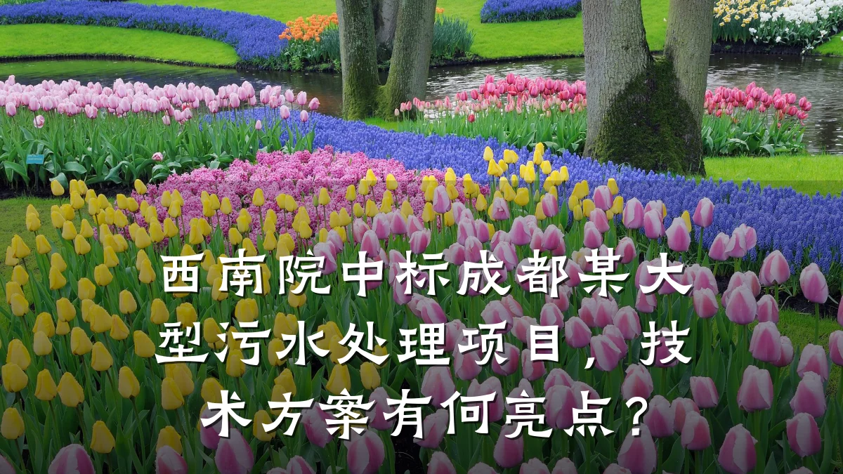西南院中标成都某大型污水处理项目,技术方案有何亮点?