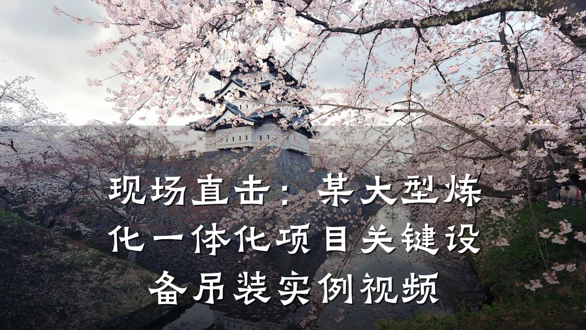 现场直击：某大型炼化一体化项目关键设备吊装实例视频