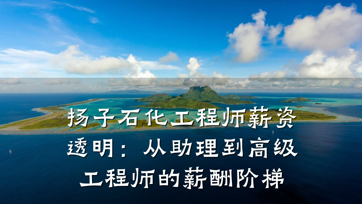 扬子石化工程师薪资透明:从助理到高级工程师的薪酬阶梯