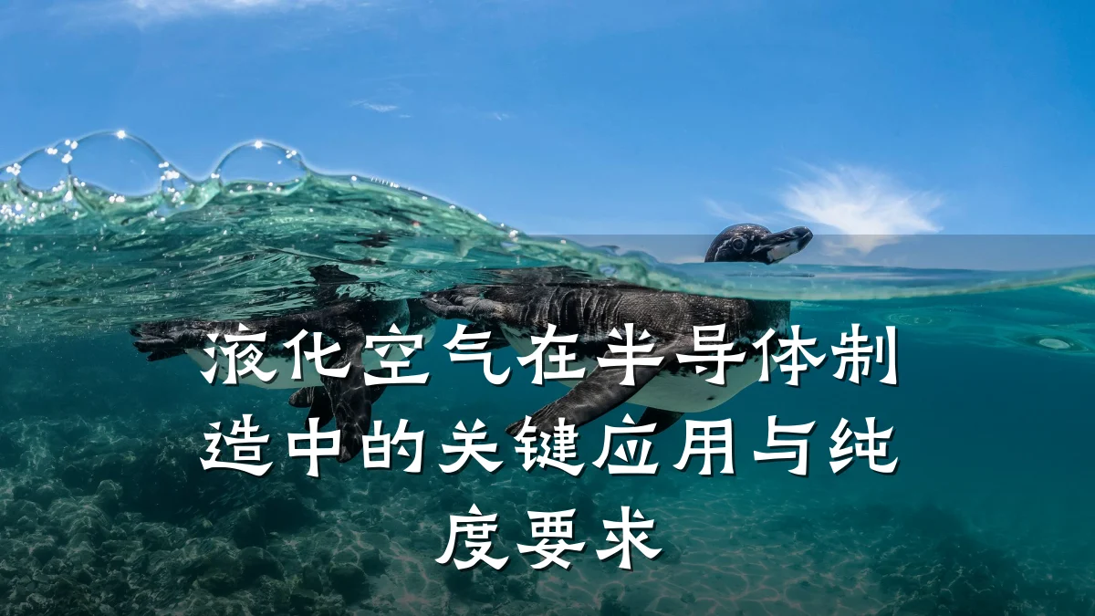液化空气在半导体制造中的关键应用与纯度要求