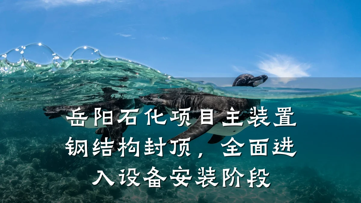 岳阳石化项目主装置钢结构封顶,全面进入设备安装阶段