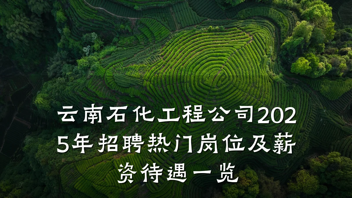 云南石化工程公司2025年招聘热门岗位及薪资待遇一览
