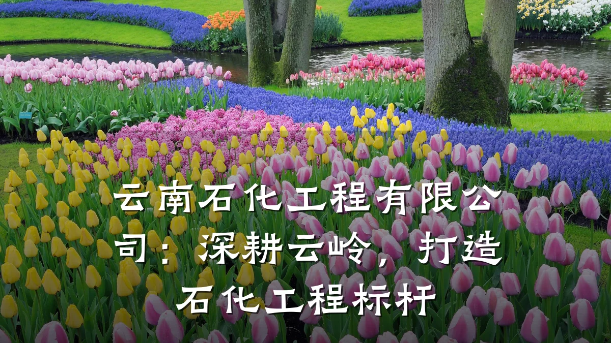 云南石化工程有限公司:深耕云岭,打造石化工程标杆