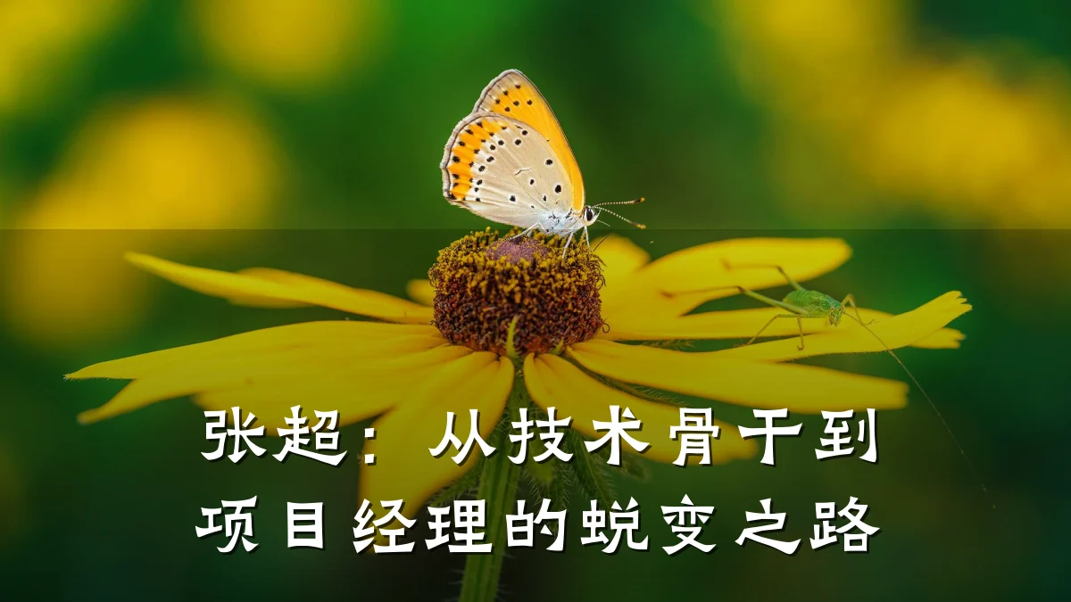 张超:从技术骨干到项目经理的蜕变之路