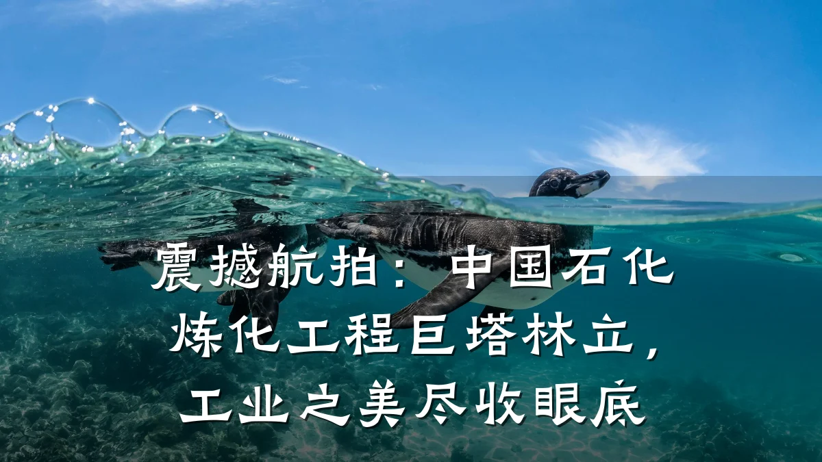 震撼航拍:中国石化炼化工程巨塔林立,工业之美尽收眼底