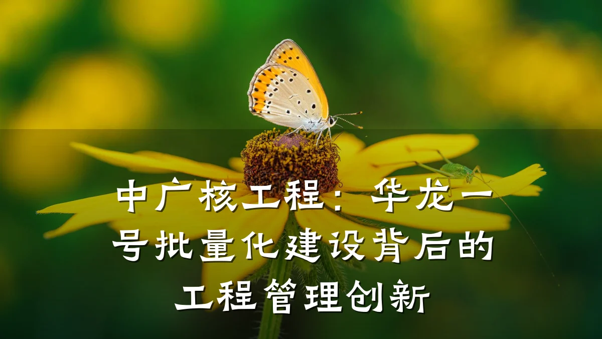 中广核工程:华龙一号批量化建设背后的工程管理创新