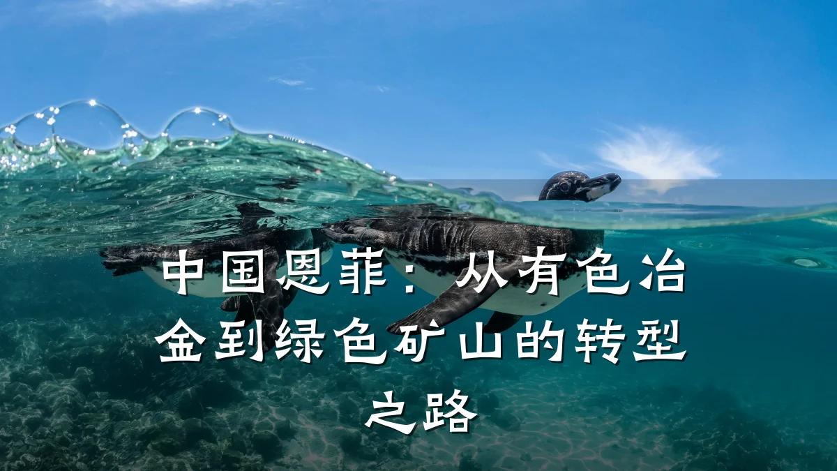 中国恩菲:从有色冶金到绿色矿山的转型之路