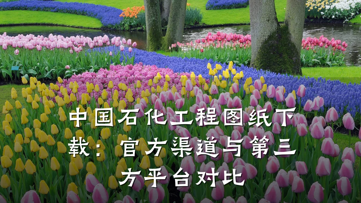 中国石化工程图纸下载:官方渠道与第三方平台对比