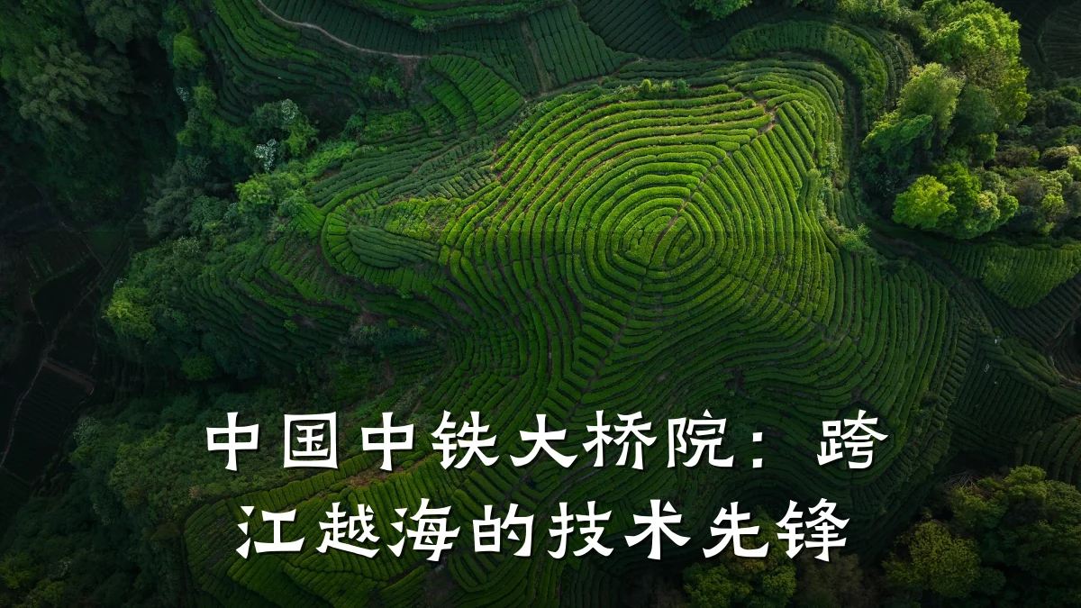 中国中铁大桥院:跨江越海的技术先锋