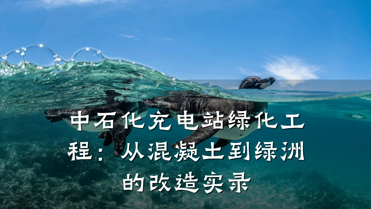 中石化充电站绿化工程:从混凝土到绿洲的改造实录