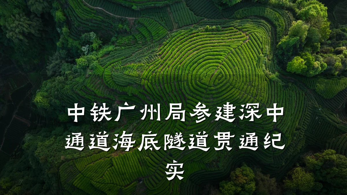 中铁广州局参建深中通道海底隧道贯通纪实
