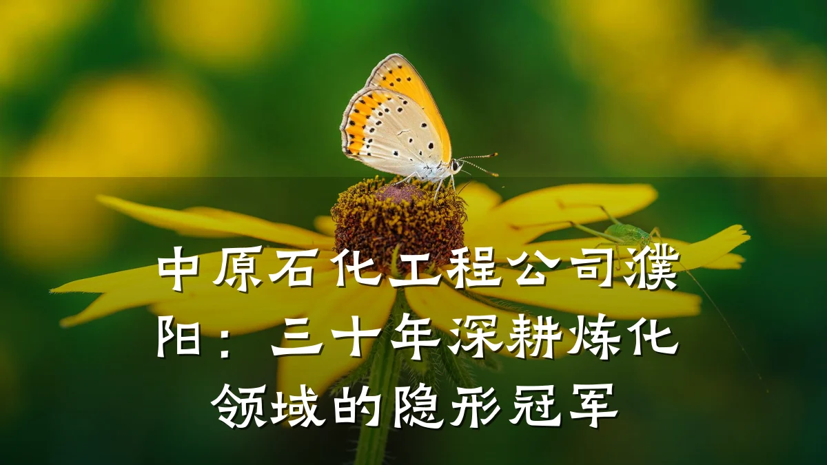 中原石化工程公司濮阳:三十年深耕炼化领域的隐形冠军
