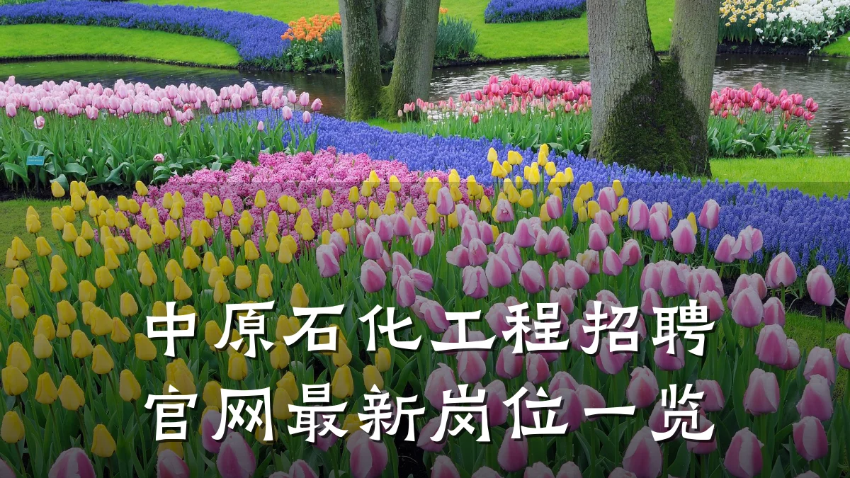 中原石化工程招聘官网最新岗位一览