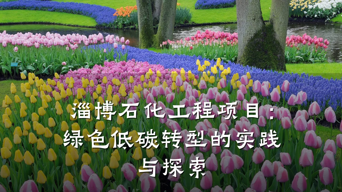 淄博石化工程项目:绿色低碳转型的实践与探索