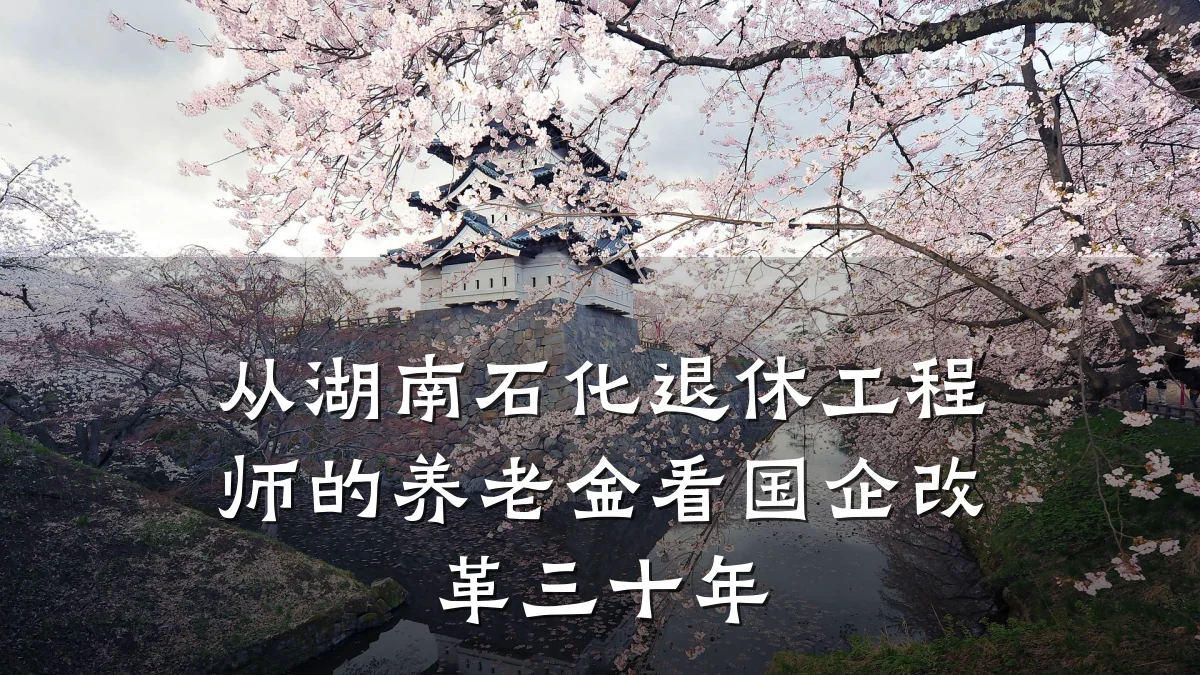 从湖南石化退休工程师的养老金看国企改革三十年