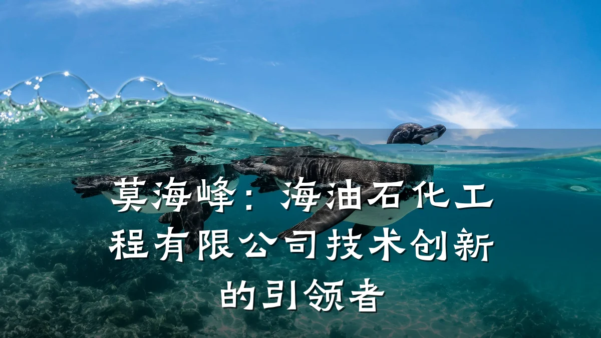 莫海峰：海油石化工程有限公司技术创新的引领者
