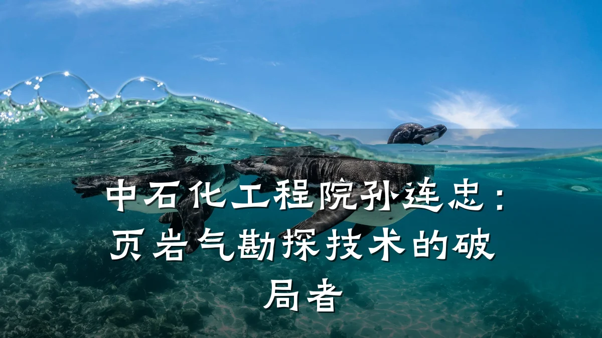 中石化工程院孙连忠：页岩气勘探技术的破局者